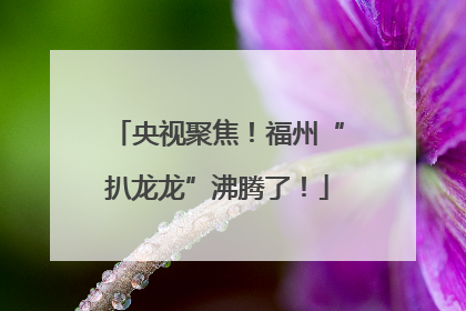 央视聚焦！福州“扒龙龙”沸腾了！