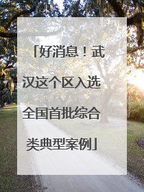 好消息！武汉这个区入选全国首批综合类典型案例
