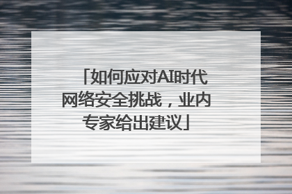 如何应对AI时代网络安全挑战，业内专家给出建议