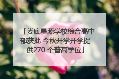 娄底星源学校综合高中部获批 今秋开学开学提供270 个普高学位