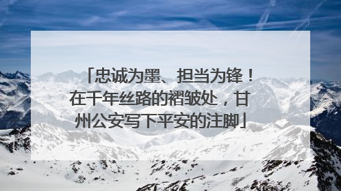 忠诚为墨、担当为锋！在千年丝路的褶皱处，甘州公安写下平安的注脚