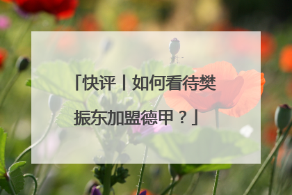 快评丨如何看待樊振东加盟德甲？