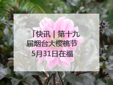 快讯｜第十九届烟台大樱桃节5月31日在福山门楼举办