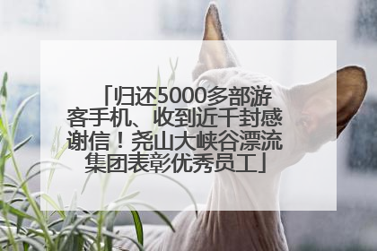 归还5000多部游客手机、收到近千封感谢信！尧山大峡谷漂流集团表彰优秀员工