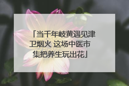 当千年岐黄遇见津卫烟火 这场中医市集把养生玩出花