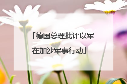 德国总理批评以军在加沙军事行动