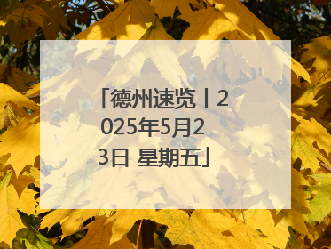 德州速览丨2025年5月23日 星期五