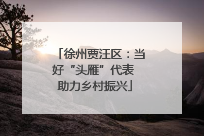 徐州贾汪区：当好“头雁”代表 助力乡村振兴