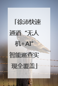 徐沛快速通道“无人机+AI”智能巡查实现全覆盖