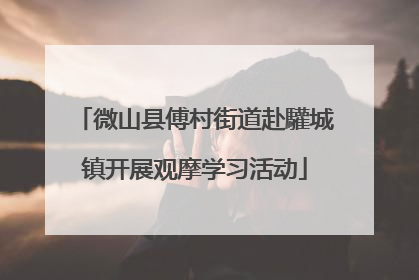 微山县傅村街道赴驩城镇开展观摩学习活动