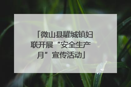 微山县驩城镇妇联开展“安全生产月”宣传活动