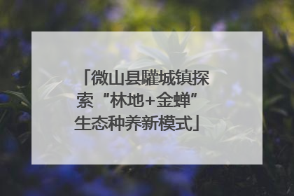 微山县驩城镇探索“林地+金蝉”生态种养新模式