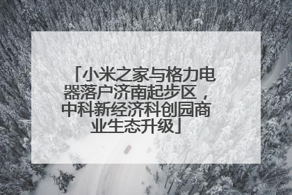 小米之家与格力电器落户济南起步区，中科新经济科创园商业生态升级