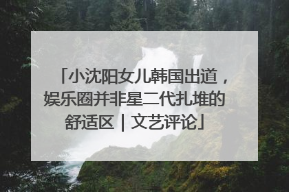 小沈阳女儿韩国出道，娱乐圈并非星二代扎堆的舒适区｜文艺评论