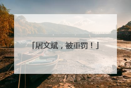 屠文斌，被重罚！