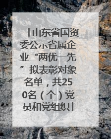 山东省国资委公示省属企业“两优一先”拟表彰对象名单，共250名（个）党员和党组织