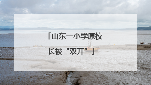 山东一小学原校长被“双开”
