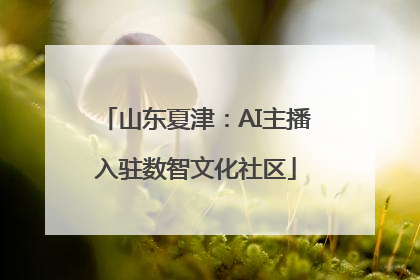 山东夏津：AI主播入驻数智文化社区