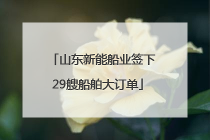 山东新能船业签下29艘船舶大订单