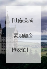 山东荣成：麦浪翻金抢收忙