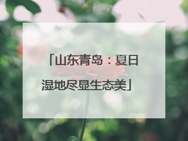 山东青岛：夏日湿地尽显生态美