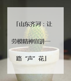 山东齐河：让劳模精神宣讲一路“声”花