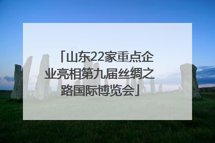 山东22家重点企业亮相第九届丝绸之路国际博览会