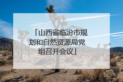 山西省临汾市规划和自然资源局党组召开会议
