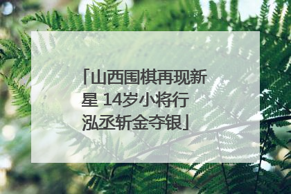 山西围棋再现新星 14岁小将行泓丞斩金夺银