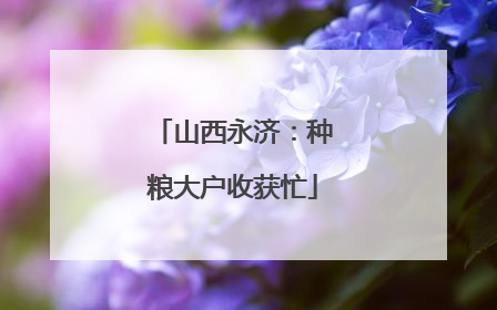 山西永济：种粮大户收获忙