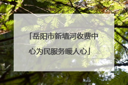 岳阳市新墙河收费中心为民服务暖人心