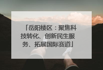 岳阳楼区：聚焦科技转化、创新民生服务、拓展国际赛道