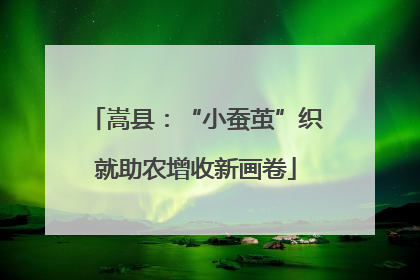 嵩县：“小蚕茧”织就助农增收新画卷