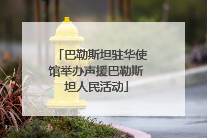 巴勒斯坦驻华使馆举办声援巴勒斯坦人民活动