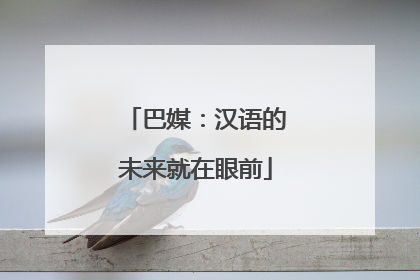 巴媒：汉语的未来就在眼前