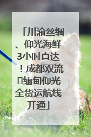 川渝丝绸、仰光海鲜3小时直达！成都双流⇌缅甸仰光全货运航线开通