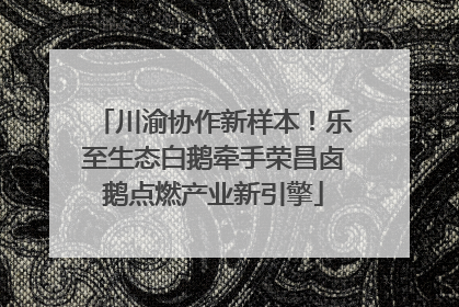 川渝协作新样本！乐至生态白鹅牵手荣昌卤鹅点燃产业新引擎