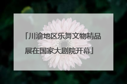 川渝地区乐舞文物精品展在国家大剧院开幕