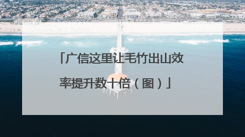 广信这里让毛竹出山效率提升数十倍（图）