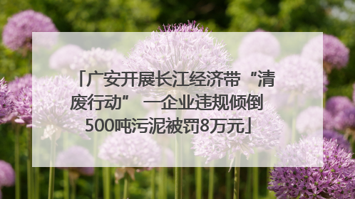 广安开展长江经济带“清废行动” 一企业违规倾倒500吨污泥被罚8万元