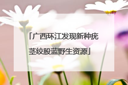 广西环江发现新种疣茎绞股蓝野生资源