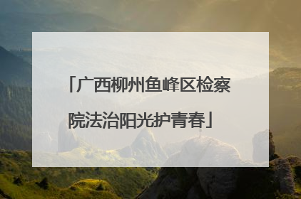 广西柳州鱼峰区检察院法治阳光护青春