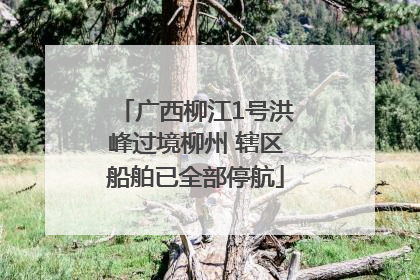 广西柳江1号洪峰过境柳州 辖区船舶已全部停航