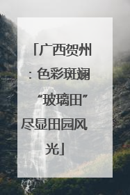 广西贺州：色彩斑斓“玻璃田”尽显田园风光