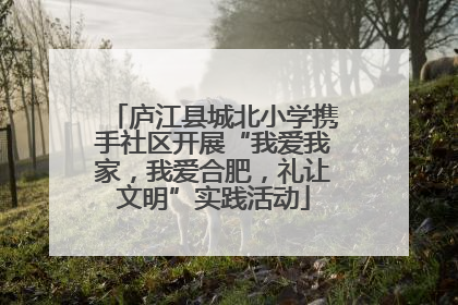 庐江县城北小学携手社区开展“我爱我家，我爱合肥，礼让文明”实践活动