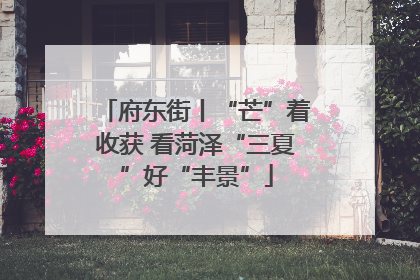 府东街丨“芒”着收获 看菏泽“三夏”好“丰景”