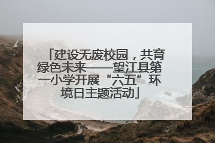 建设无废校园，共育绿色未来——望江县第一小学开展“六五”环境日主题活动