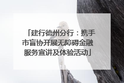 建行德州分行：携手市盲协开展无障碍金融服务宣讲及体验活动