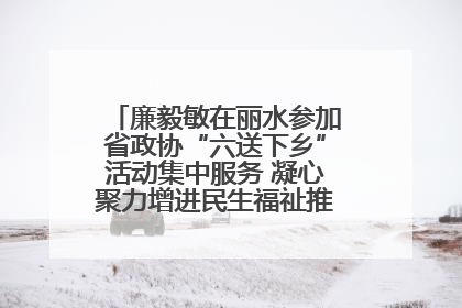 廉毅敏在丽水参加省政协“六送下乡”活动集中服务 凝心聚力增进民生福祉推进共同富裕