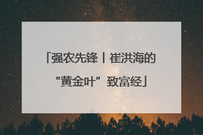 强农先锋丨崔洪海的“黄金叶”致富经
